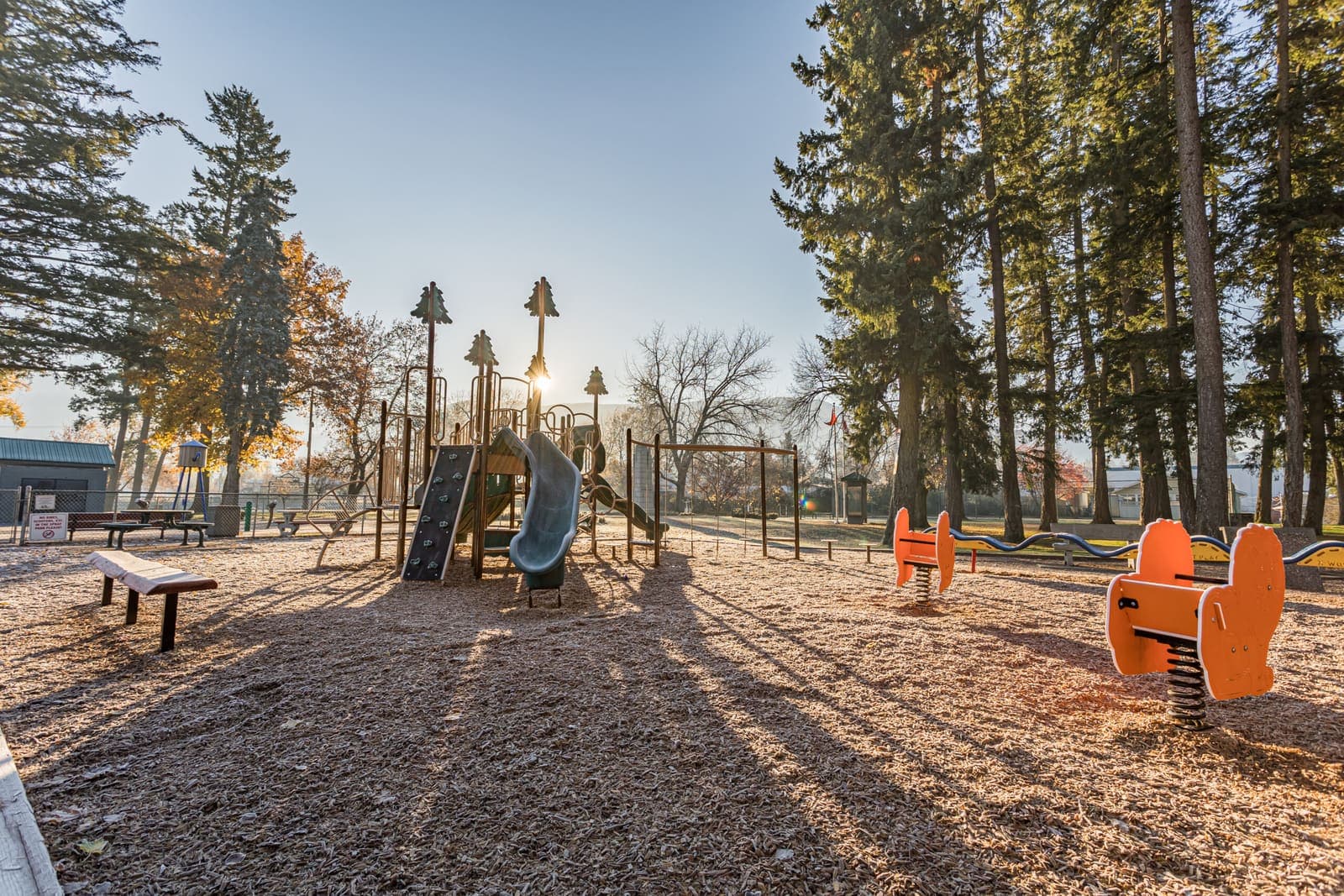 A playground with a slide and climbing wall surrounded by tall pine trees at an Armstrong park